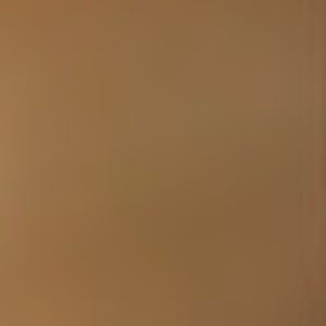 Meet your Posher, Aldevito